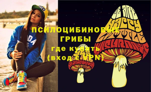 ешки Абинск