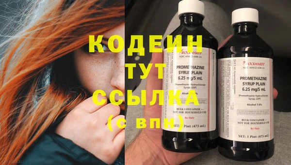 сатива Абаза