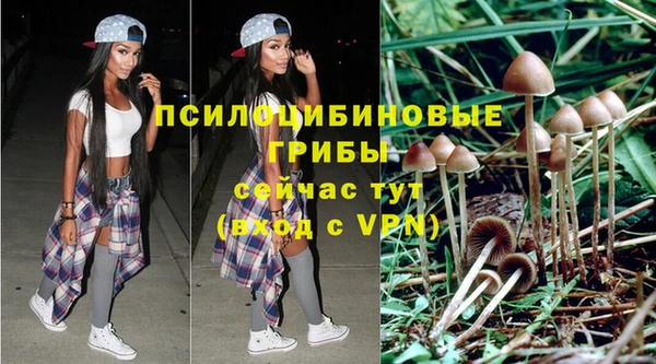 спиды Абдулино